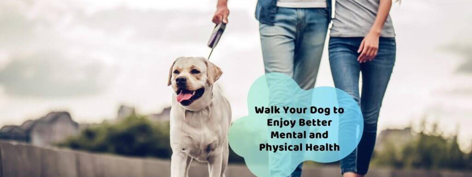 https://www.metrovetchicago.com/sites/default/files/styles/page_hero_low_1920x720/public/walk-dog-better-physical-mental-health.jpg?itok=xwg72IWo