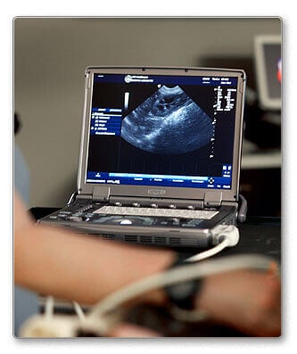 Ultrasounds  Metropolitan Veterinary Center